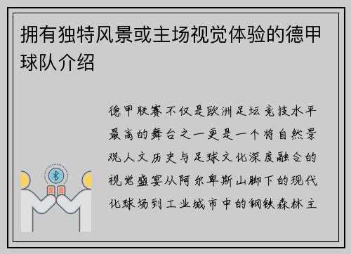 拥有独特风景或主场视觉体验的德甲球队介绍
